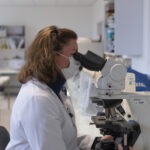 analyse médicale centre de prélèvements analyse médicale